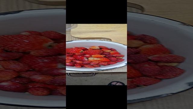 первая клубника