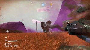 Лучшие корабли стражей // Эксклюзив // ТОП 5 Самые крутые!