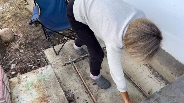 #597 НА ХУТОР ВЕРНУЛАСЬ ХОЗЯЙКА и захотела ПОЙМАТЬ фазана! смотреть онлайн