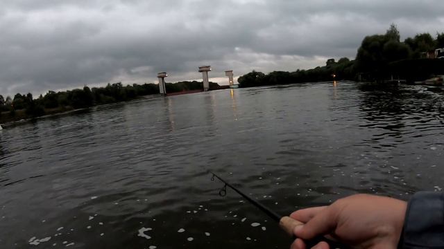 Ночной жерех на воблеры .Спиннинг G.Loomis SJR 783-2 GLX смотреть онлайн