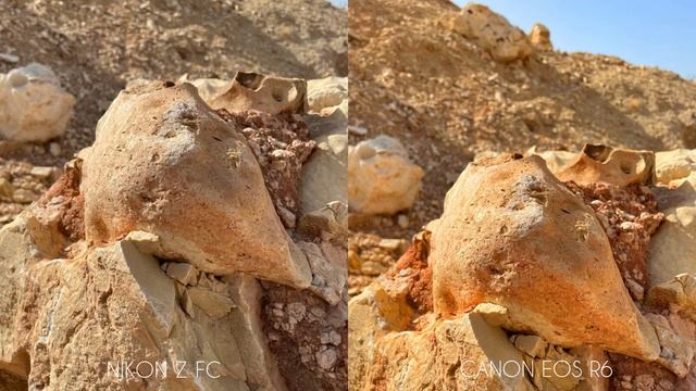 Nikon Z FC vs Canon EOS R6 Camera Test смотреть онлайн