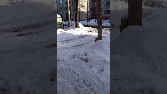 зима, снег, куда ставить авто? смотреть онлайн