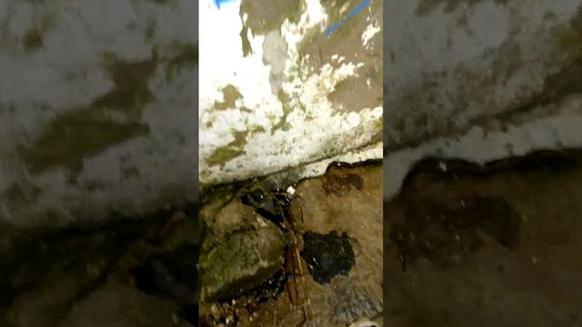 я с другом на заброшен и нам стало страшно смотреть онлайн