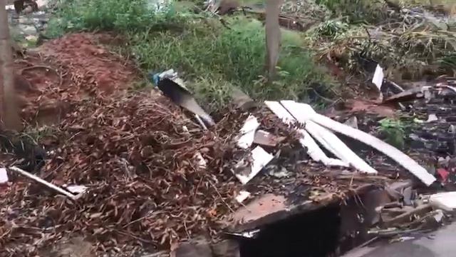 LIXAO PRUDENCO 20 01 2024 Vídeo do WhatsApp de 2024 01 24 às 05 11 34 b755d43a смотреть онлайн