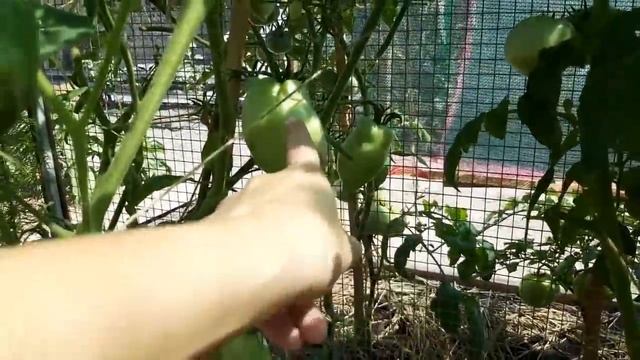 Куда делись мамины вещи ! смотреть онлайн