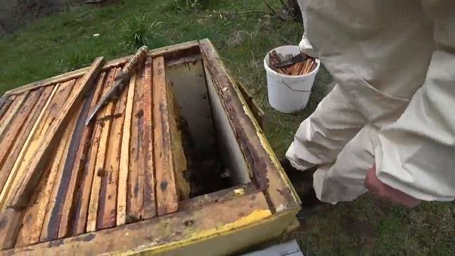 Пасека Лаврова. Тактика при расширении семей в апреле этого года смотреть онлайн