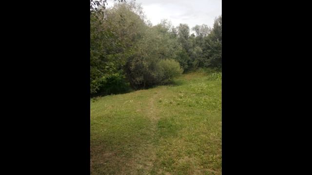 George Topîrceanu - În drum смотреть онлайн