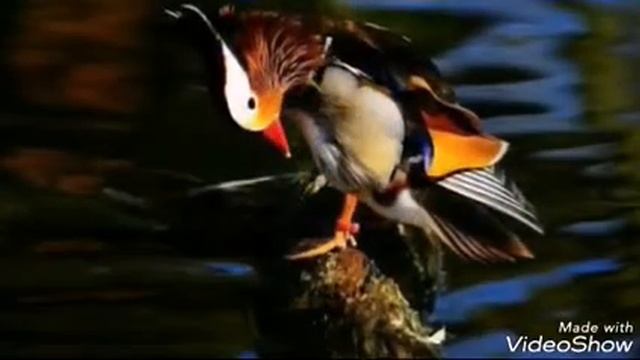 Очень красивые фотки смотреть онлайн