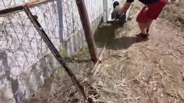 Уборка дачи. Красивая природа и змеи. смотреть онлайн