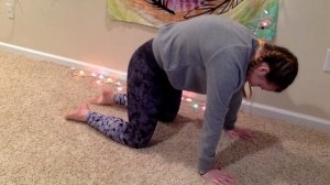 Animal Yoga: cat, cow, dog