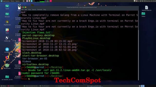 Which folder is to install Golang binary with Terminal on Parrot Security Linux смотреть онлайн