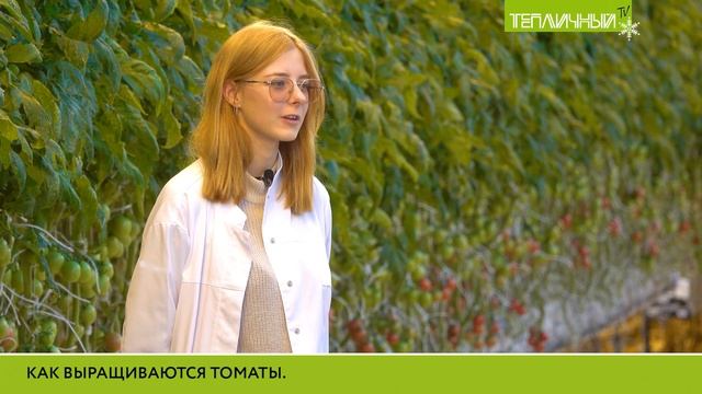 Помощник агронома Наталья Долотова: Спасибо, «Тепличный», что подтолкнул к профессии! смотреть онлайн