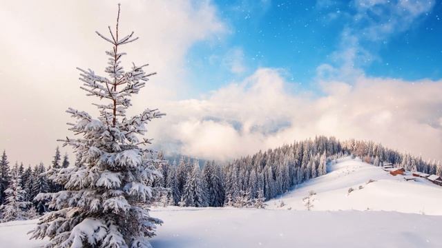 Зимние пейзажи под красивую музыку смотреть онлайн
