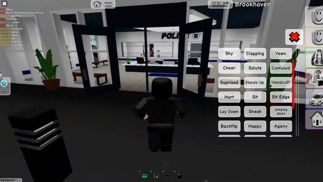 Играю в Roblox |BROOKHAVEN RP| Секретные нычки смотреть онлайн