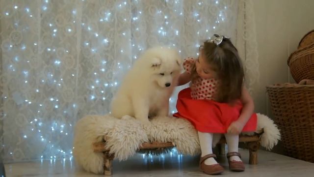 LOLLIPOP Holly Dolly ( Реклама к фотопроекту со щенками) смотреть онлайн