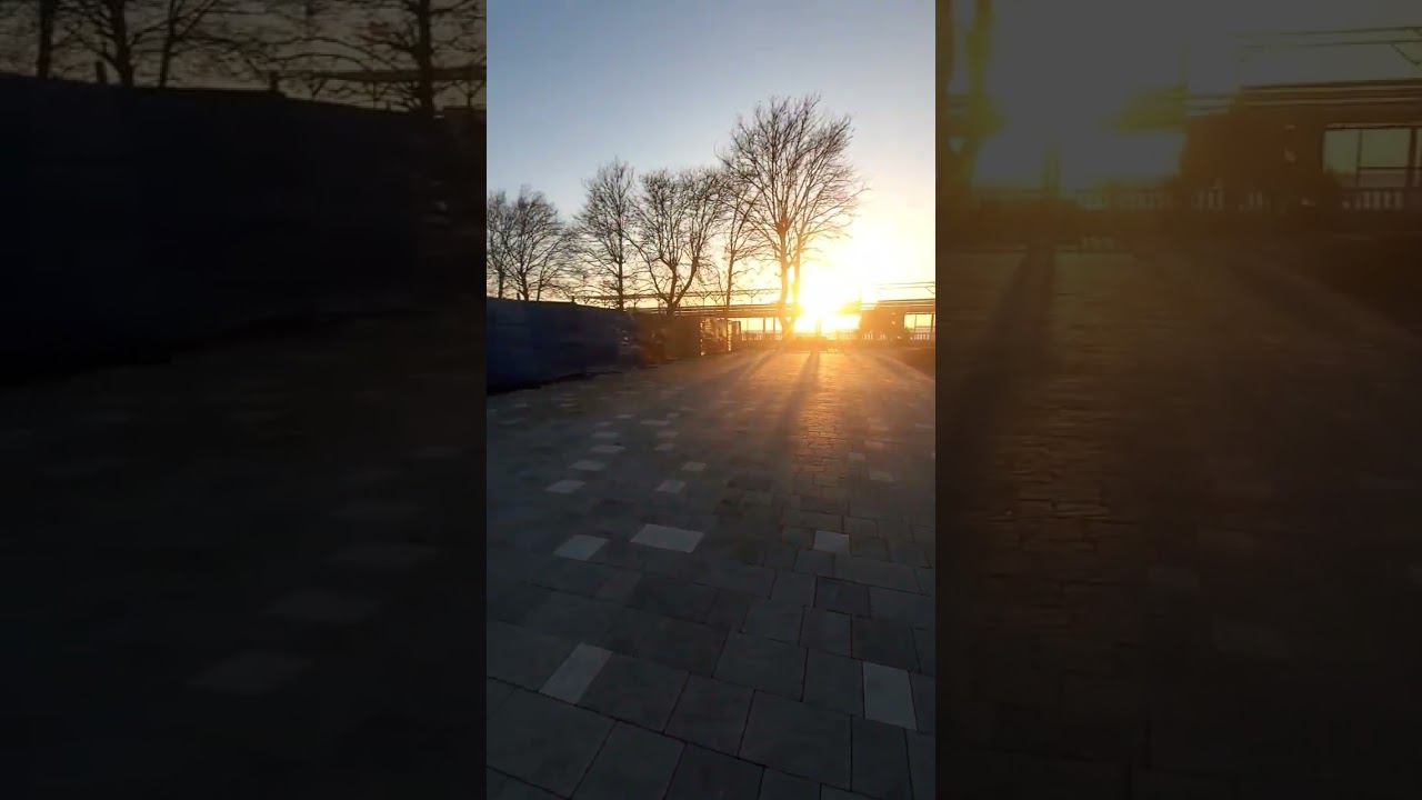 В парке уже почти доделали площадь #shorts #лазаревскийпарк #колесообозрения #лазаревское #сочи смотреть онлайн