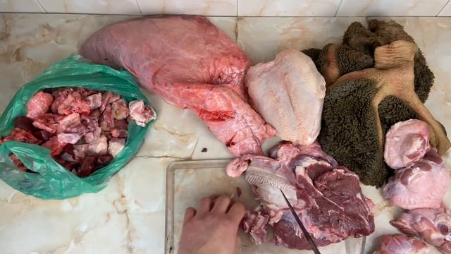 Чем кормить собаку. Что ест моя собака. Мясо для собак смотреть онлайн