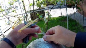 Как научиться попадать дротиком из  рогатки в цель.Рогатка для рыбалки.