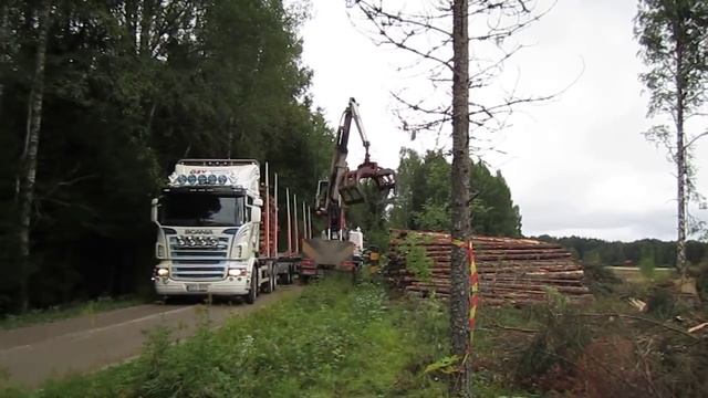 MÅNKARBOGRUPPEN 9. CANON IXUS 130 009.MOV смотреть онлайн