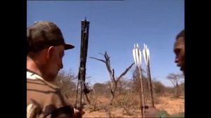 охота на зебру в Африке