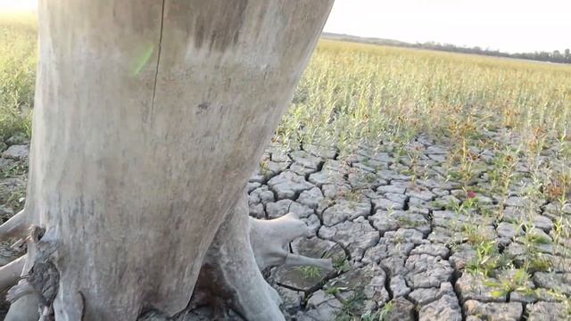 Дно Краснодарского водохранилища 2020. Коп и рыбалка смотреть онлайн