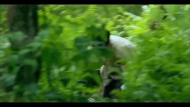 gui子特戰隊偷襲古老山寨，山里機關重重，gui子寸步難行 смотреть онлайн