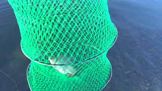 Отчёт о рыбалке озера - Большой Сынгуль,Червяное,Калды.