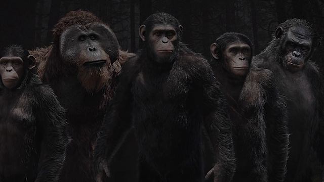 What If Planet Of The Apes Was Real? смотреть онлайн