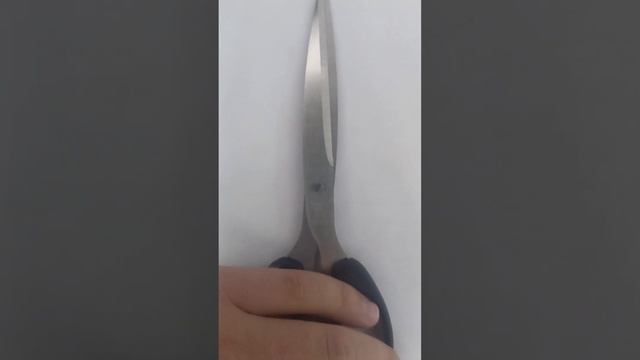 Ножницы канцелярские из нержавеющей стали НОЖНИЦЫ из нержавеющей СТАЛИ смотреть онлайн