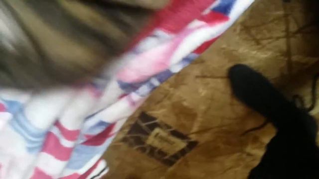 Шарпеи смотреть онлайн