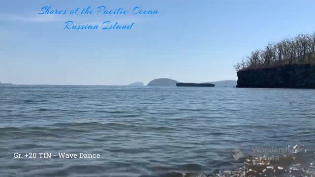 Gr. +20 TIN - Wave Dance(New music) / Берега океанов / Shores of the Pacific Ocean / Russian Island смотреть онлайн