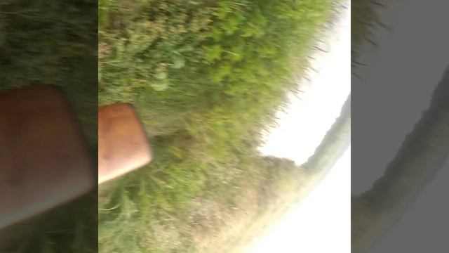 VID_20230905_171733_752.mp4 смотреть онлайн