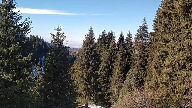 17 января 2021 г. Чуть выше катка "Медео " смотреть онлайн