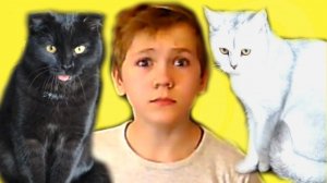 КОШКИ Раскрыли СТРАШНУЮ ТАЙНУ!