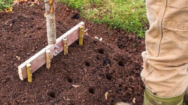 Как правильно и после каких культур лучше всего садить чеснок на зиму смотреть онлайн