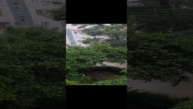 дождь ☔️ 🌧 🌈 ☂️ ⛈️ 🌦 ☔️