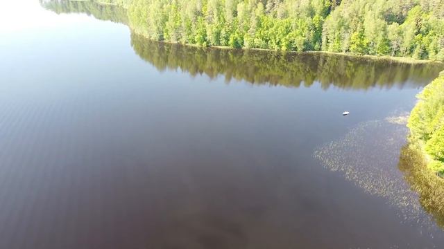 У мужчины навернулись СЛЕЗЫ на глаза, когда понял, как МЕДВЕДЬ поступил ради него