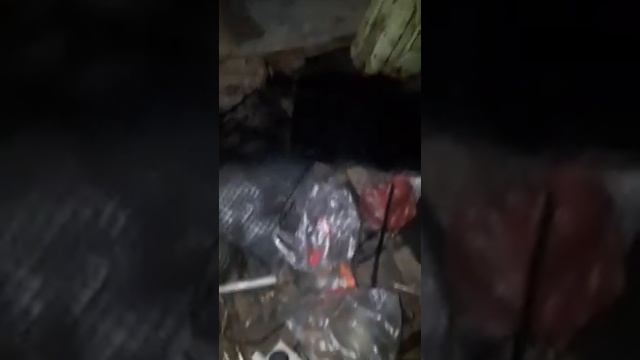 Замена двигателя и кпп фольксваген т3 смотреть онлайн