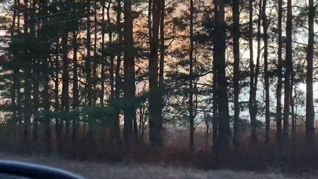 ПОЖАР - это так СТРАШНО ? ВЕШАЮ ГАМАК ✅ КУПИЛА ГЛАДИОЛУСЫ ? ПОСАДИЛА КУСТАРНИКИ и ЦВЕТЫ ? ВЛОГ смотреть онлайн