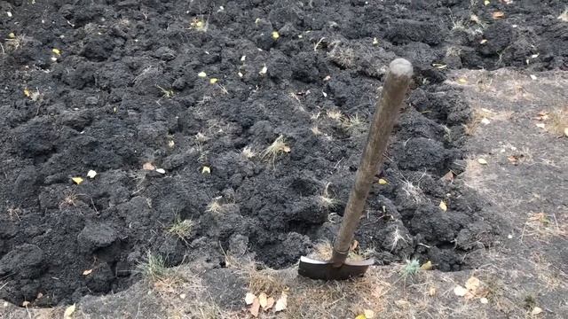 мне стыдно за мой газон...?? смотреть онлайн