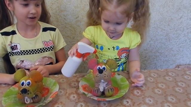 Травянчики#Как Ухаживать За Травянчиками? Herbs Have Sprouted! How To Care For Herbs?