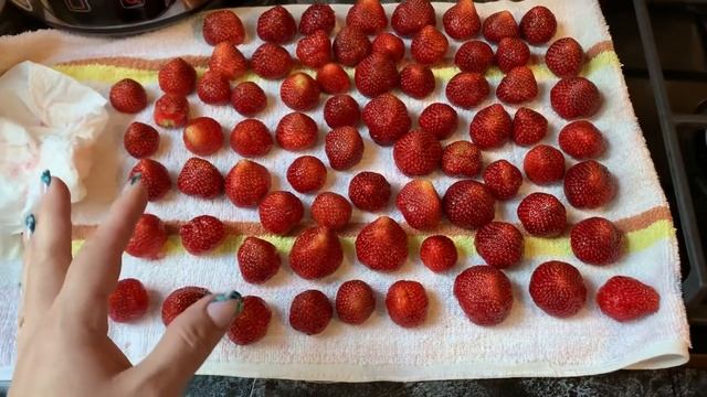Начинаем заготовку , заморозку на зиму !? смотреть онлайн