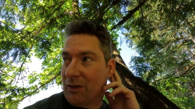 Most Peaceful Camping Spot Found In BC - I Do Not Want To Leave смотреть онлайн