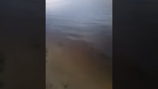 РЫБАЛКА ФИДЕР.БЕРЕЗОВАЯ СТАРИЦА. смотреть онлайн