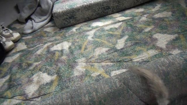 Boat Tour: 1991 Bayliner Speedboat -  2855 Sierra Sunbridge