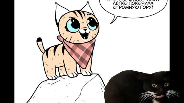 #maxwell я хочу вернут этот мем! смотреть онлайн