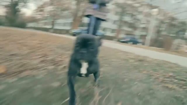 "Чистая линия" смотреть онлайн