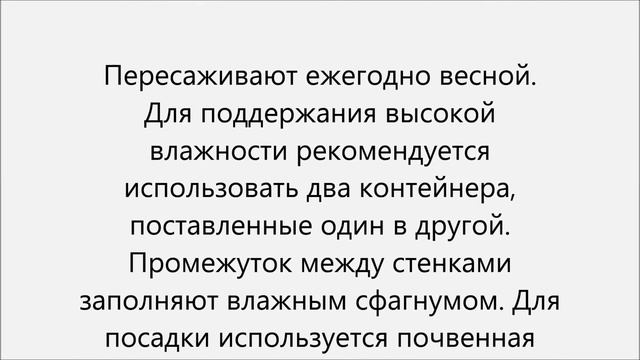 Росянка уход смотреть онлайн