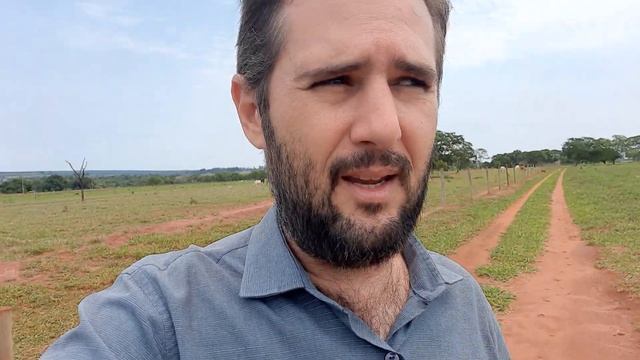 Meu laudo foi impugnado, eu deixo de receber os meus honorários? смотреть онлайн