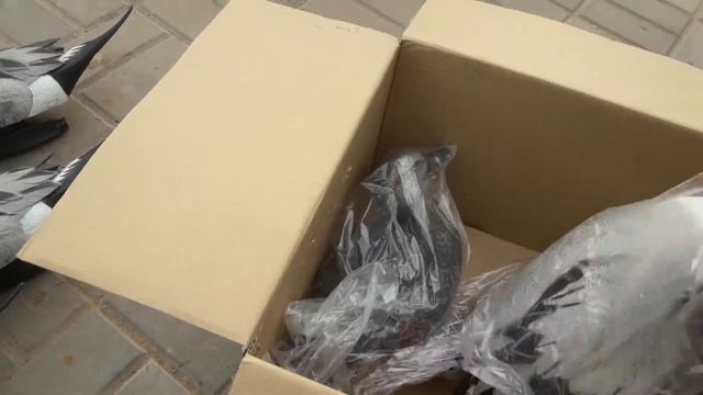 Чучела уток шилохвость фирмы ghg avery смотреть онлайн